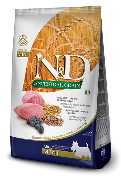 N&D Ancestral Grain Adult Mini Agnello e Mirtillo 2,5Kg
