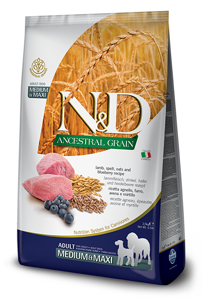 N&D Ancestral Grain Adult Medium Maxi Agnello e Mirtillo 12kg