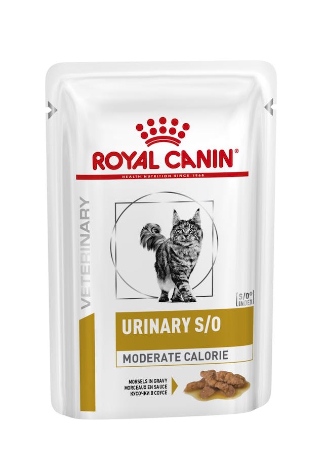 W CAT URINARY MODERATE CALORIE POUCH 12X100 gr